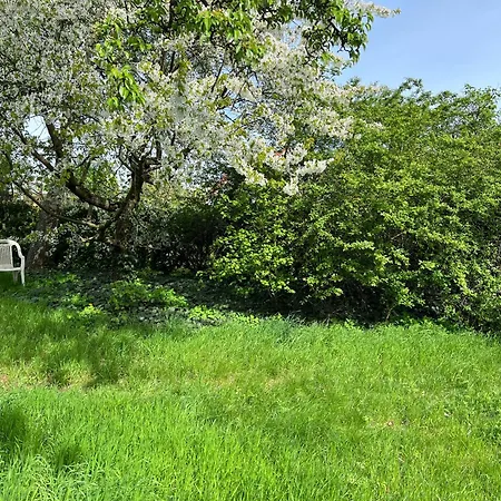 Messe 3 Minutes * Hannover